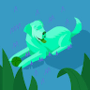 Meet your Posher, Cesar